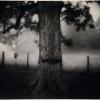 paisajes inquietantes