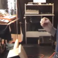 Vídeo: Un theremin en acción