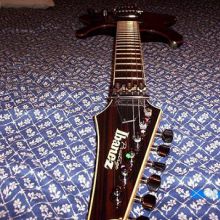 ibanez