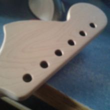 Pala back