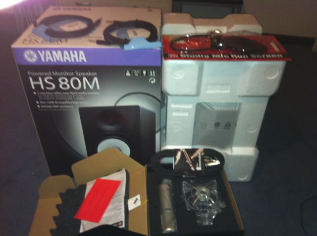 monitores, mic, filtro, cables