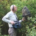 Documentales sonoros de la BBC