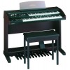 Roland AT-100