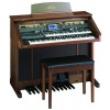 Roland AT-800