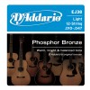 D'Addario EJ38 - Phosphor Bronze Ligh 12 String [10-27]