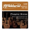D'Addario EJ42 Resophonic Guitar [16-56]