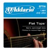 D'Addario EFT 16 Flat Tops Phosphor Bronze Regular [12-53]