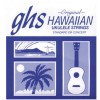 GHS H-10