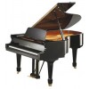 BECHSTEIN A 208 3/4 Cola negro poliester