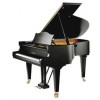 BECHSTEIN L-167 cola negro poliester