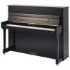 BECHSTEIN Contur 118  negro poliester