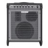 Fishman Loudbox