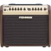 Fishman Loudbox Mini