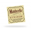 D'Addario J78 Mandocello [22-74]
