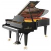 BECHSTEIN C - 234 3/4 cola negro poliester
