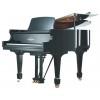 BECHSTEIN A 160 1/4 Cola caoba poliester