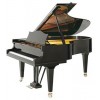 BECHSTEIN B - 212 3/4 cola negro poliester