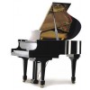 SAMICK PIANOS SIG-52 negro poliester