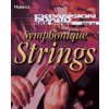 Roland SRX-04 «Symphonique Strings»