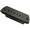 Fishman BlackStack