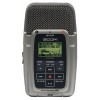 Zoom H2