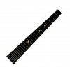 D'Addario Clásica DFAO304 Fingerboard Appliqué 3/4