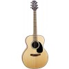 Takamine G220