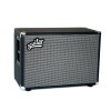 Aguilar DB 210