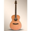 Alhambra A-1 Cutaway Elect. E-3