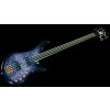Arpege IV Fretless Delta Metal