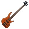 Cort B-5 OPM