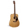 Art & Lutherie Cedar Natural