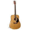 Art & Lutherie LA-ALEQ