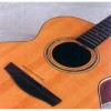 BarcusBerry 1460 Acoustic Thinline
