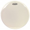 Evans BD20G2