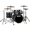 DDRUM Dios Maple Player Trans Negra