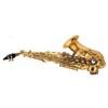 BERNARD BSS 434 Curvado Lacado