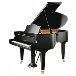 BECHSTEIN L-167 cola negro poliester