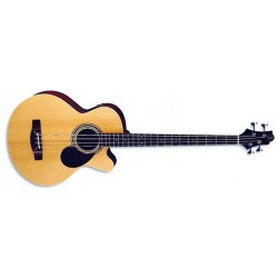 SAMICK GUITARRAS AB-2 N Natural