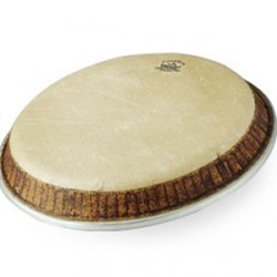 Remo M4-1255 LP