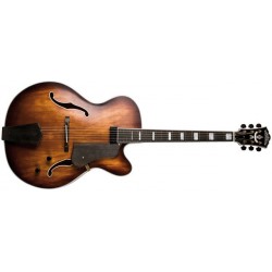 WASHBURN J-600