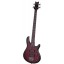 Schecter RAIDEN SPECIAL-4 BCH