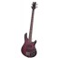 Schecter RAIDEN ELITE-4 BCH