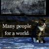 Many people for a world