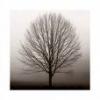 AUTUMN (Principio de incertidumbre)