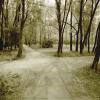 CRUCE DE CAMINOS
