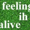 Feeling alive