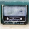 The Sound Of Your Voice