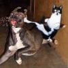 Kickin' Hard