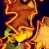 Pajaros Fluorescentes 102